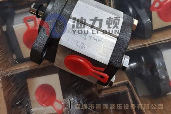 油力頓齒輪泵ALP2A-D-10-FG/ALP2A-D-12-FG/ALP2A-D-13-FG說(shuō)明書(shū)